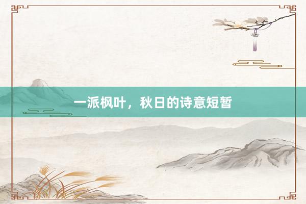 一派枫叶，秋日的诗意短暂