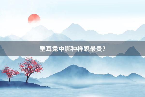 垂耳兔中哪种样貌最贵？