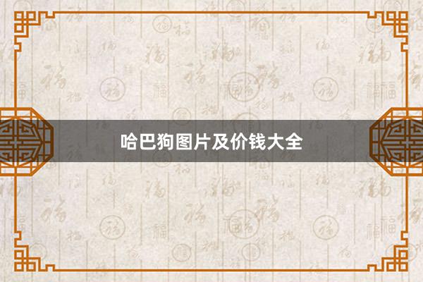 哈巴狗图片及价钱大全